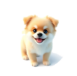  Yorkpooshipom.org